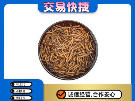 毕节市黔西礼品回收虫草.jpg